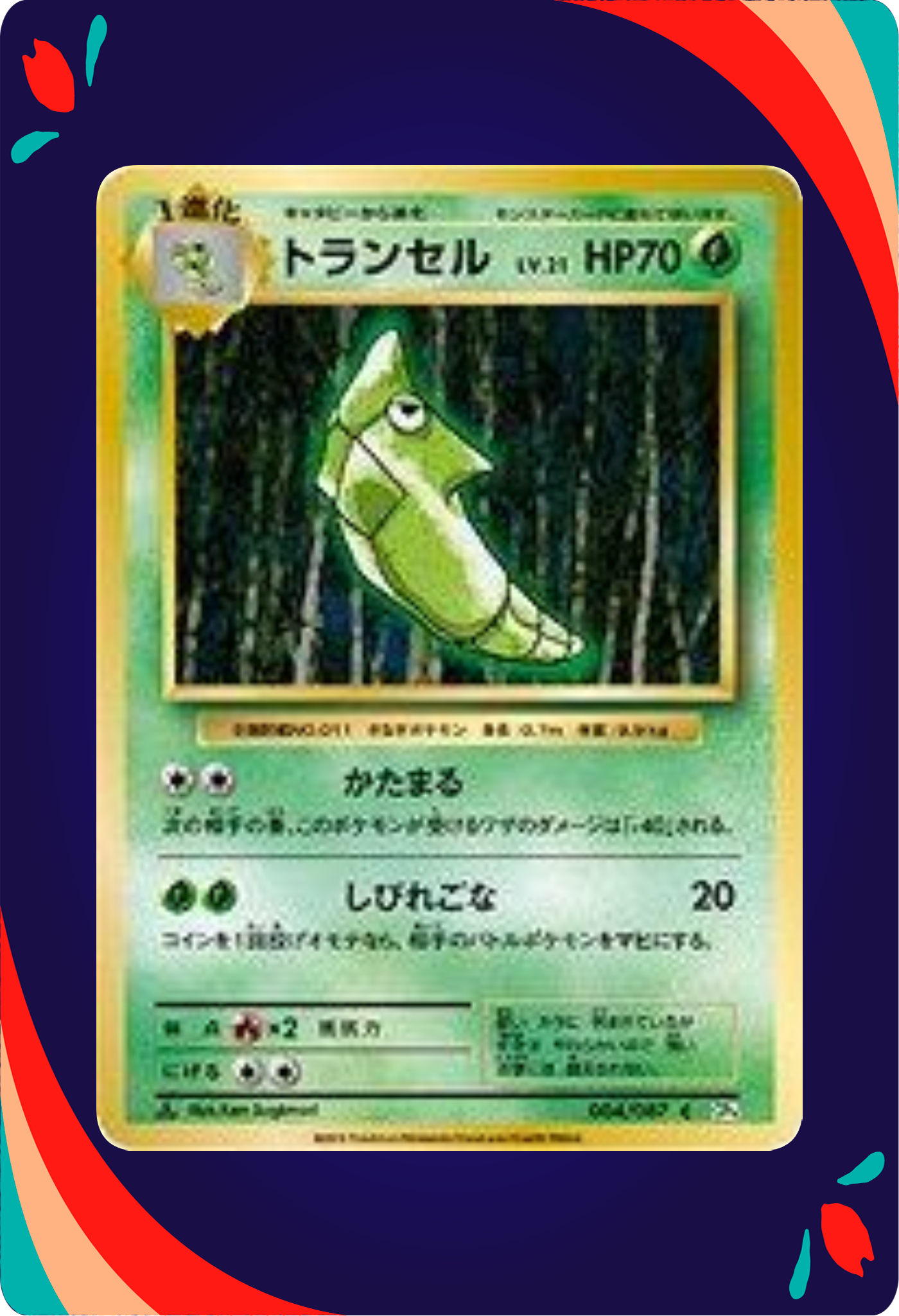 Metapod JPN_composited
